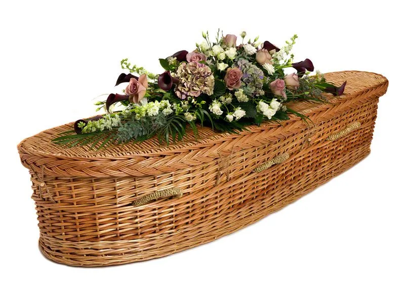 Willow (Teardrop) image