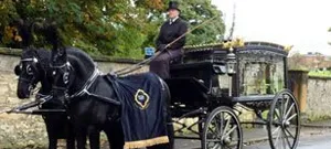 Horse Drawn Carriage - Black (2 Horses) image
