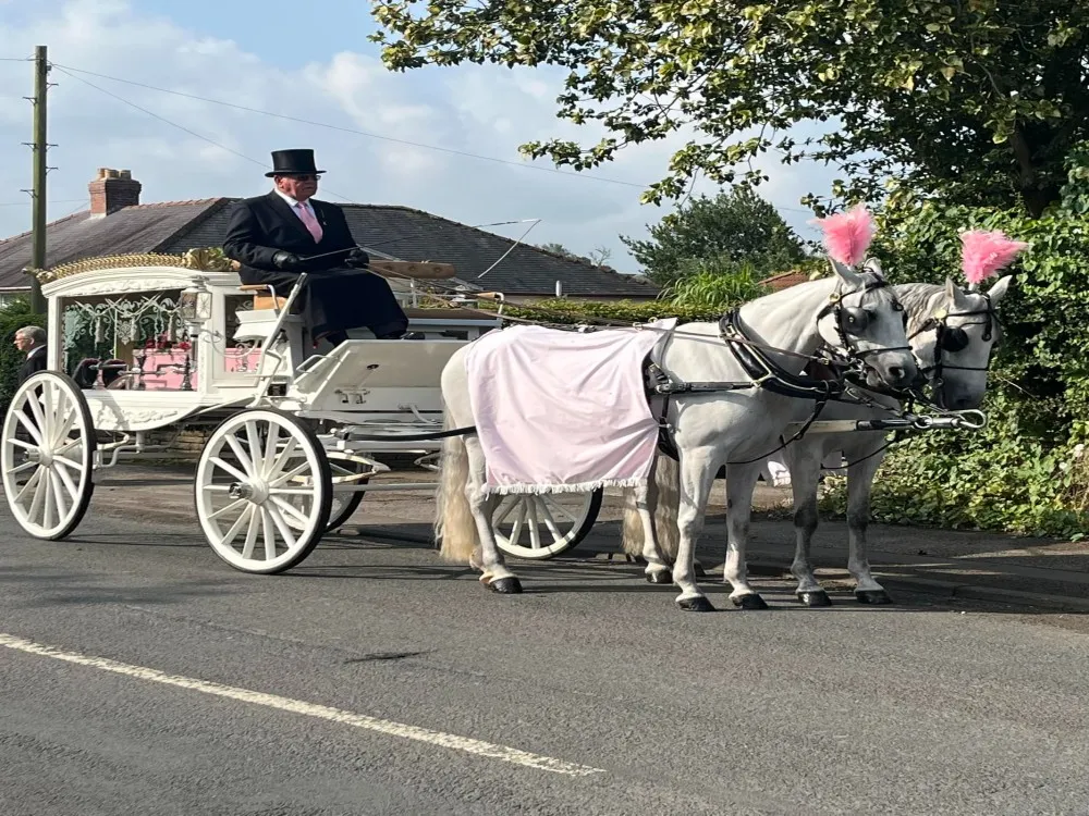Horse Drawn Carriage - White (2 Horses) image